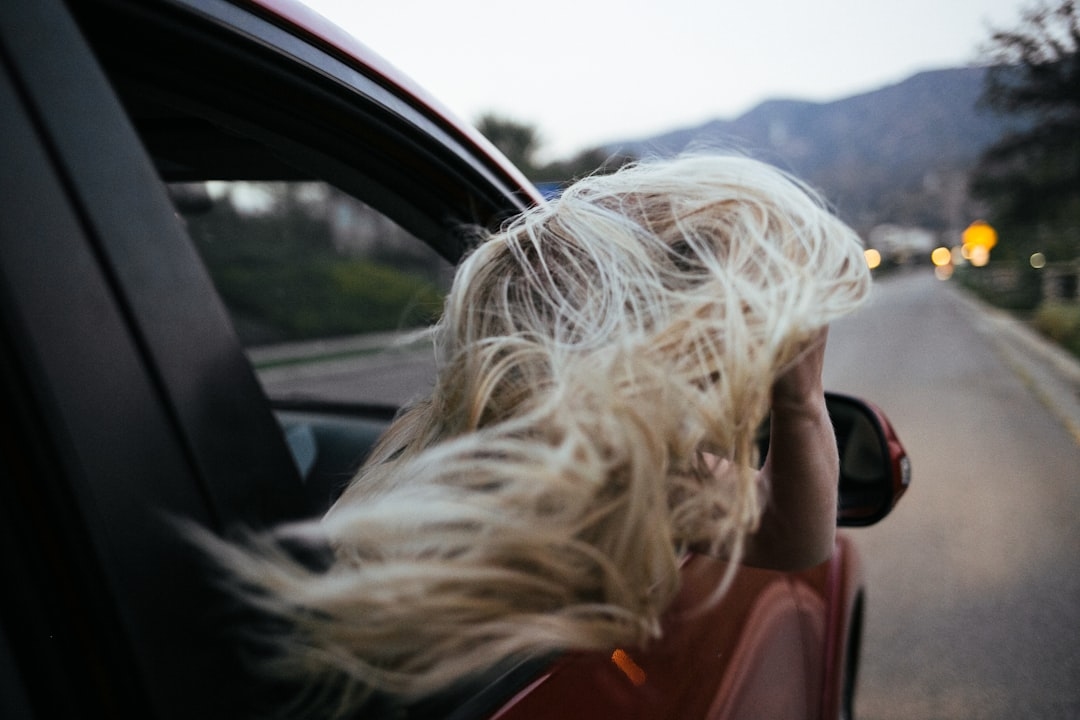 How to Get Dog Hair Out of Your Car: A Practical Guide
